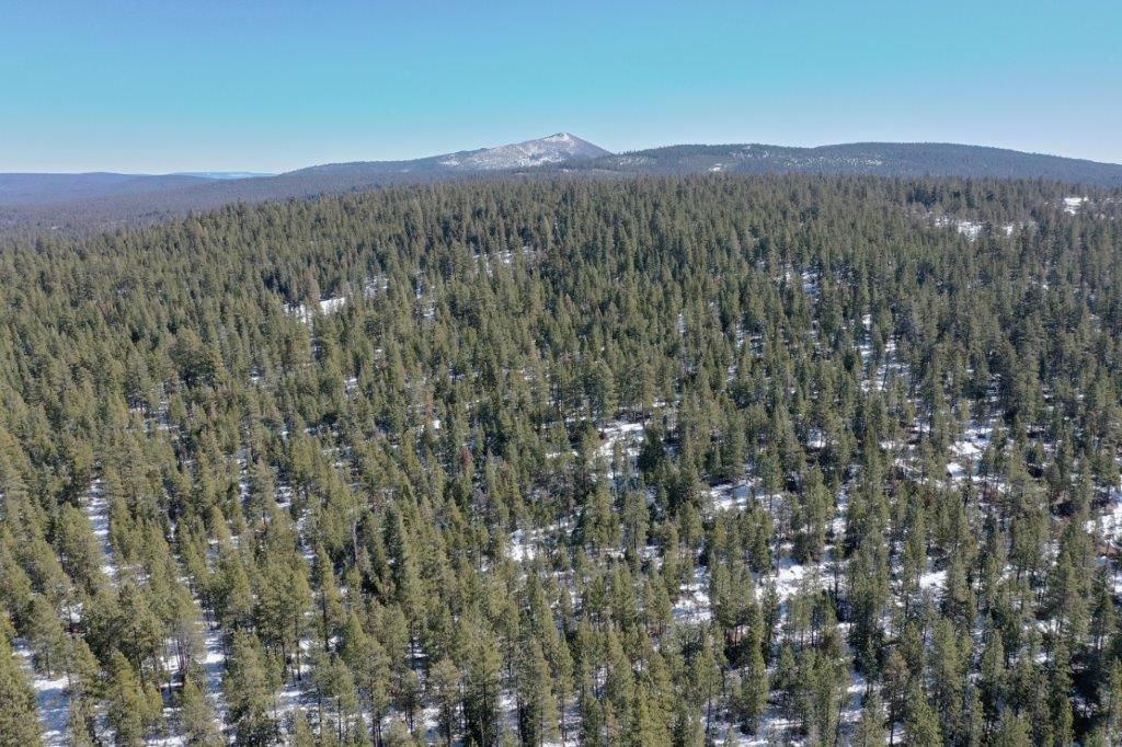 Klamath County land for sale Klamath County land for sale