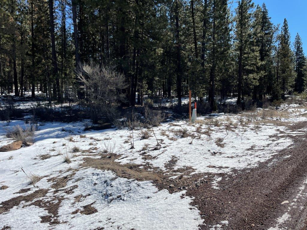 Klamath land of 2.9 acres in the forest Klamath land of 2.9 acres in the forest