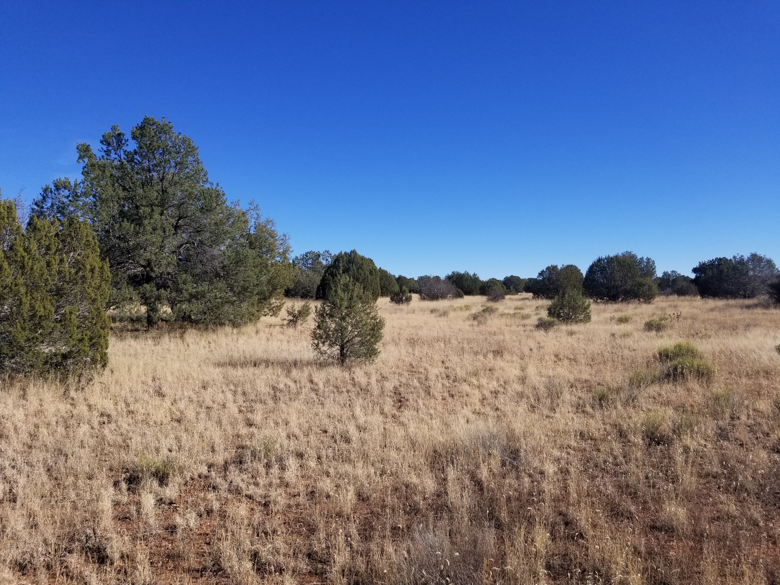 East from the lot line