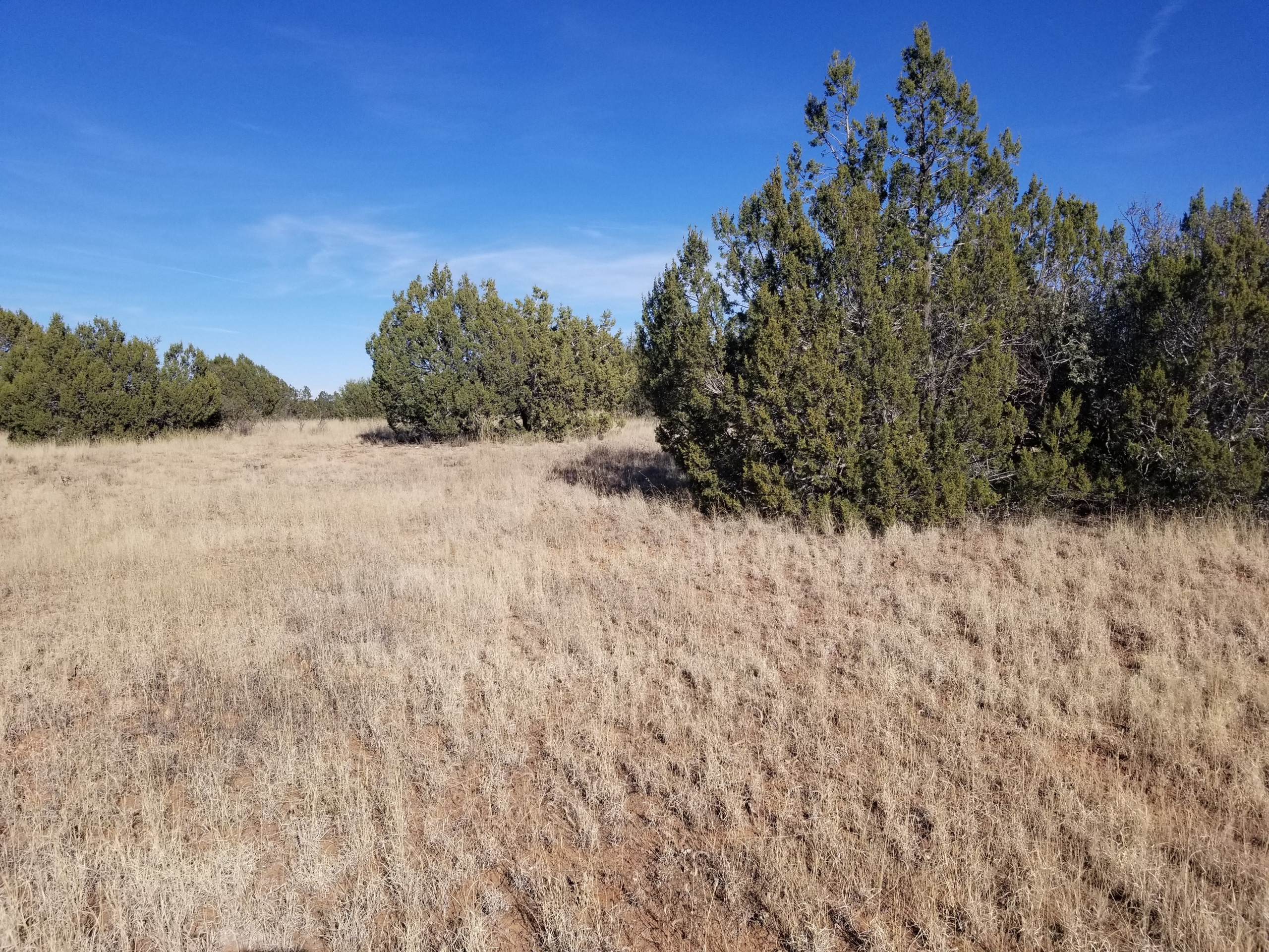 Hill east of lot line