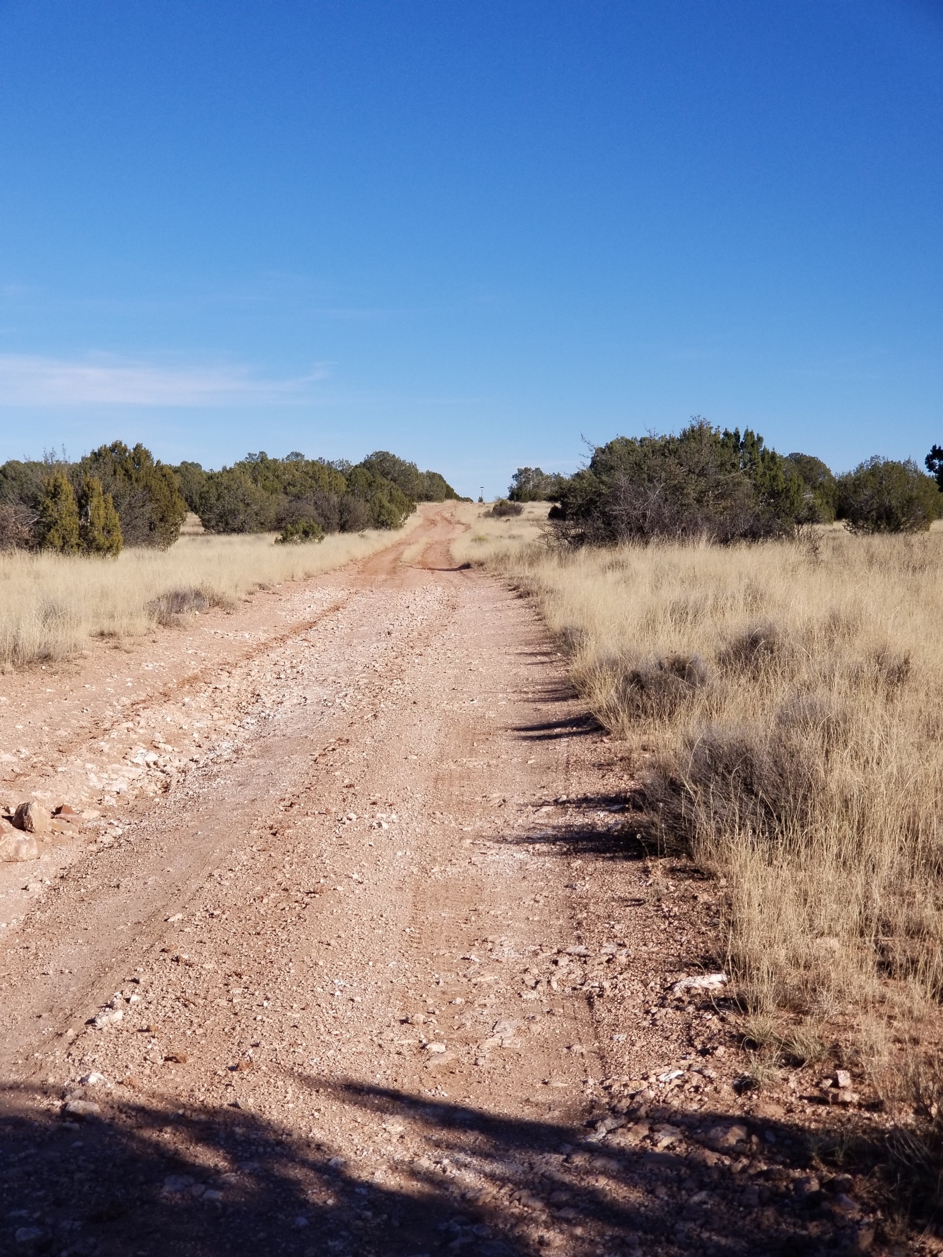 Wooden Ear Ranch Rd looking east