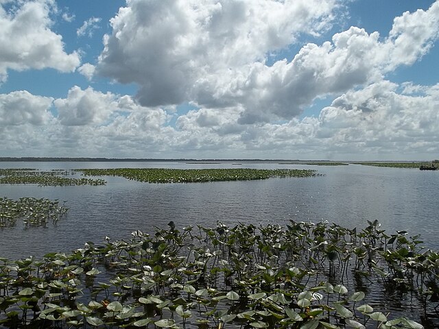 FL_Lorida_Lake_Istokpoga02