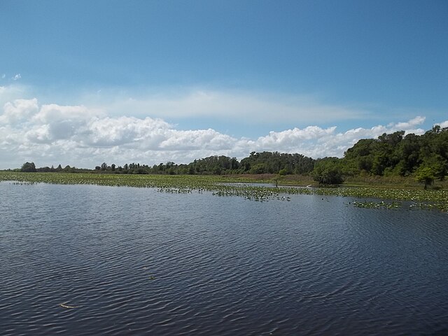 FL_Lorida_Lake_Istokpoga04