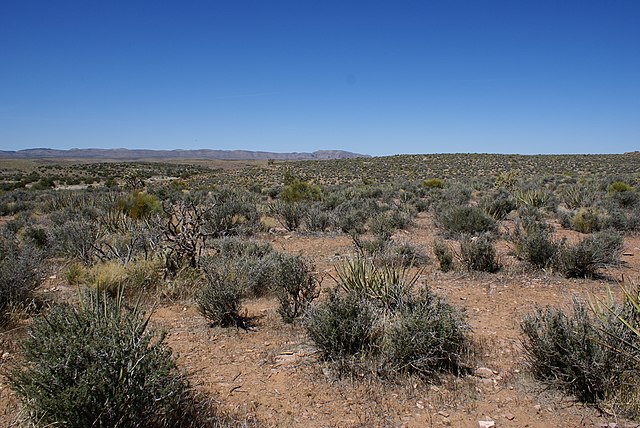 Mojave Desert on Hualapai American Indian Reservation